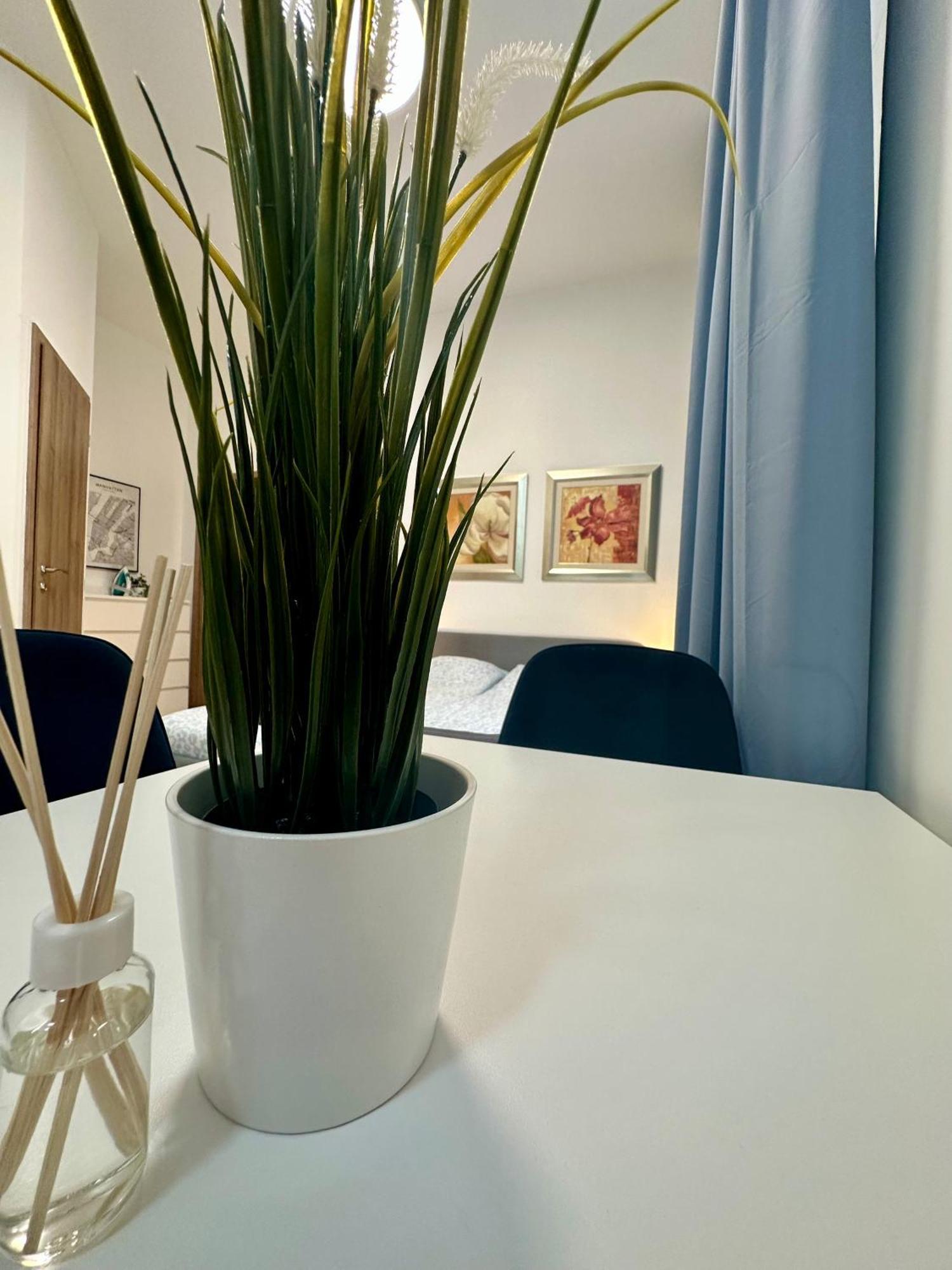 Cozy Centre Apartments Budapest Kültér fotó
